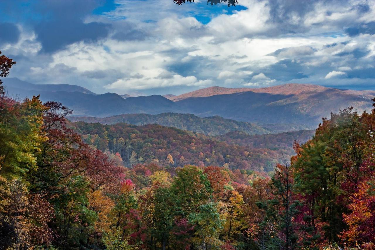 Bluebearry Patch Villa Gatlinburg Eksteriør bilde