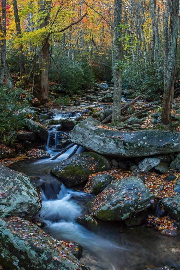 Bluebearry Patch Villa Gatlinburg Eksteriør bilde
