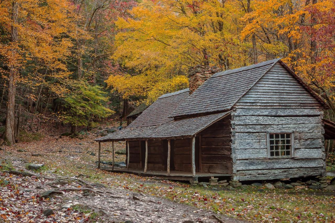 Bluebearry Patch Villa Gatlinburg Eksteriør bilde